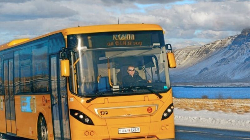 Autobusa šoferis